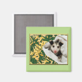 愛らしいスウィートベビーオポッサム マグネット (正面/裏面)