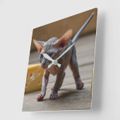 愛らしいスフィンクス・キッテンとチーズ スクエア壁時計 (傾斜)