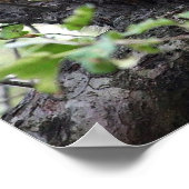 愛らしいタヌキのペアが木のポスターに ポスター (角)