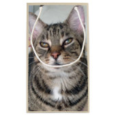 愛らしいタビーキャットフォト抱き枕 スモールペーパーバッグ (裏面)