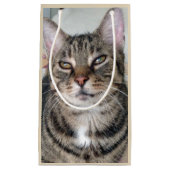 愛らしいタビーキャットフォト抱き枕 スモールペーパーバッグ (正面)