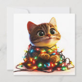 愛らしいタビー子猫の祭典のような輝き シーズンカード (正面)