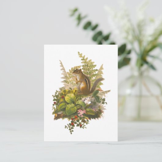 愛らしいチップマンクのヴィンテージイラスト ポストカード (スタンド正面)