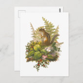 愛らしいチップマンクのヴィンテージイラスト ポストカード (正面/裏面)