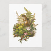 愛らしいチップマンクのヴィンテージイラスト ポストカード (正面)