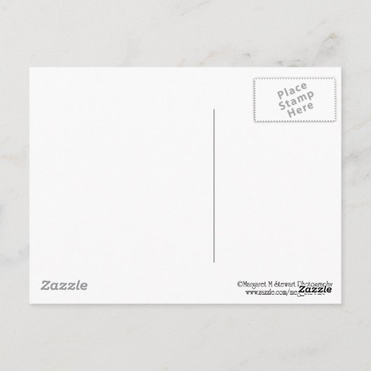 愛らしいチプムンクウィズフレンドシップ引用文 ポストカード (裏面)