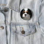 愛らしいチャールズ王スパニエル犬ボタン 缶バッジ (インサイチュ)