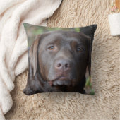 愛らしいチョコレートラブラドル・レトリーバー犬 クッション (ブランケット)