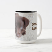 愛らしいチョコレートラブラドールレトリエバーパピー ツートーンマグカップ (正面右)