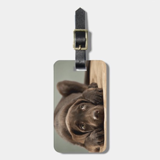 愛らしいチョコレート実験室の子犬のデザイン ラゲッジタグ (正面縦)
