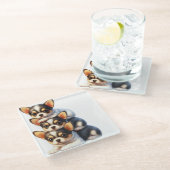 愛らしいチワワの子犬のトリオ ガラスコースター (アングル)