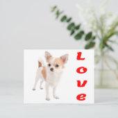 愛らしいチワワの子犬 ポストカード (スタンド正面)