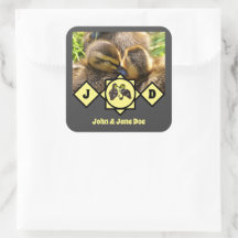 愛らしいツインダクリングス名タグフォト