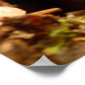 愛らしいティーンベビーチムンクポスター ポスター (角)