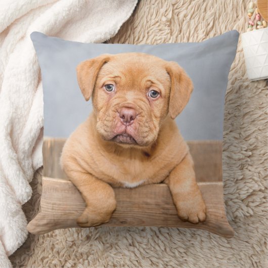 愛らしいドグドゥボルドー人形、装飾用クッション クッション (ブランケット)