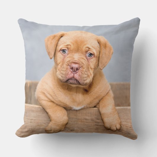 愛らしいドグドゥボルドー人形、装飾用クッション クッション (正面)