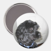 愛らしいドッグマグネット マグネット (正面/裏面)