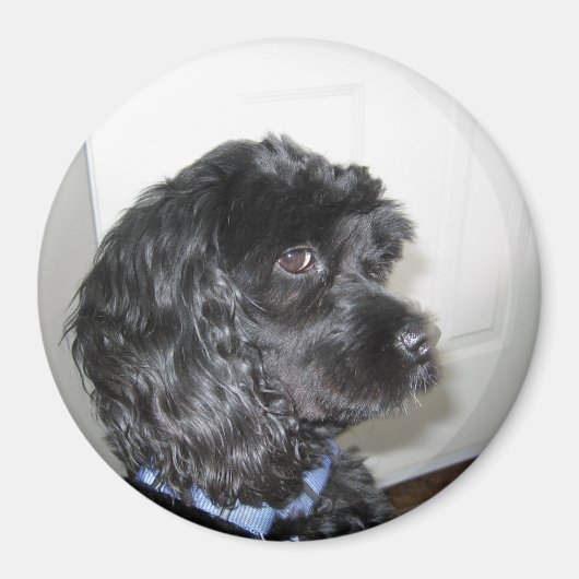 愛らしいドッグマグネット マグネット (正面)