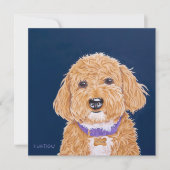 愛らしいドードル (正面)