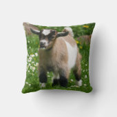 愛らしいナイジェリア人矮小山羊 クッション (裏面)