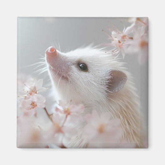 愛らしいハリネズミが咲く春 マグネット (正面)