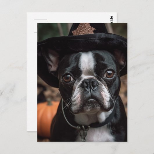愛らしいハロウィンボストンテリア ポストカード (正面/裏面)