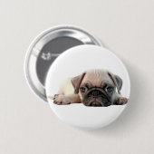 愛らしいパグの子犬 缶バッジ (正面&裏面)