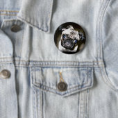 愛らしいパグ顔 缶バッジ (インサイチュ)