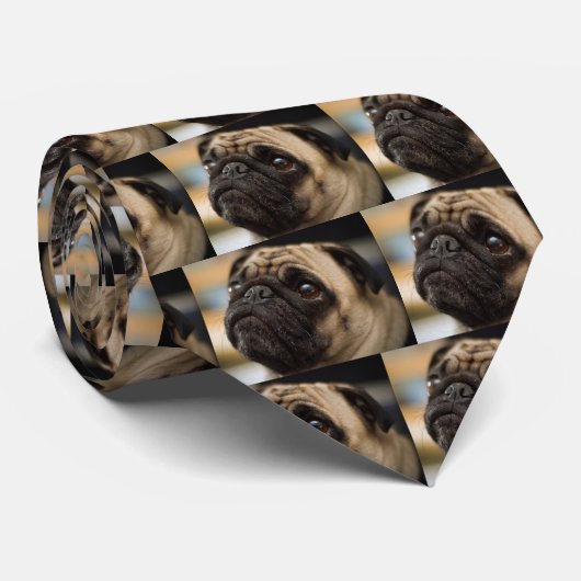 愛らしいパグ ネクタイ (ロール)