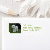 愛らしいビション ラベル (インサイチュ)