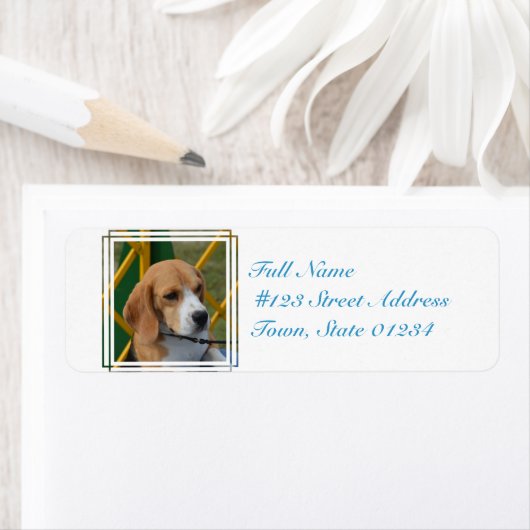 愛らしいビーグル ラベル (インサイチュ)