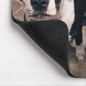 愛らしいピットブルの子犬 マウスパッド (コーナー)