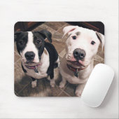 愛らしいピットブルの子犬 マウスパッド (マウス)