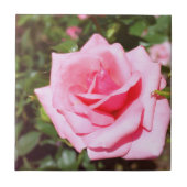 愛らしいピンクのバラの花と甘いハート タイル (正面)