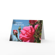 愛らしいピンクのバラの花の幸せな休日