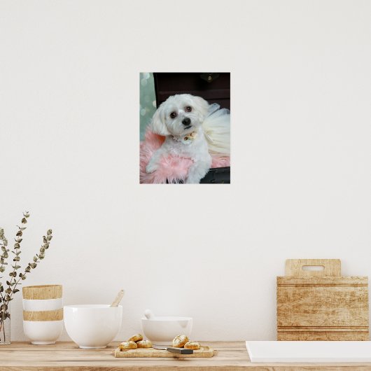 愛らしいファンシー白い子犬のポートレート写真 ポスター (キッチン)