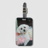 愛らしいファンシー白い子犬のポートレート写真 ラゲッジタグ (正面縦)