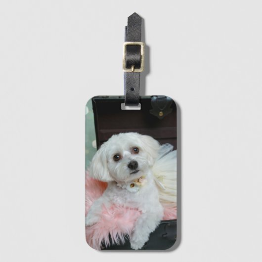 愛らしいファンシー白い子犬のポートレート写真 ラゲッジタグ (正面縦)