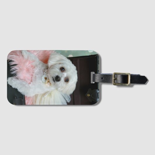 愛らしいファンシー白い子犬のポートレート写真 ラゲッジタグ (正面横)