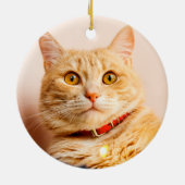 愛らしいファームハウスカリグラフィーペットメモリアルフォト セラミックオーナメント (裏面)