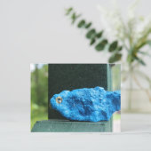 愛らしいブルーバードロック ポストカード (スタンド正面)