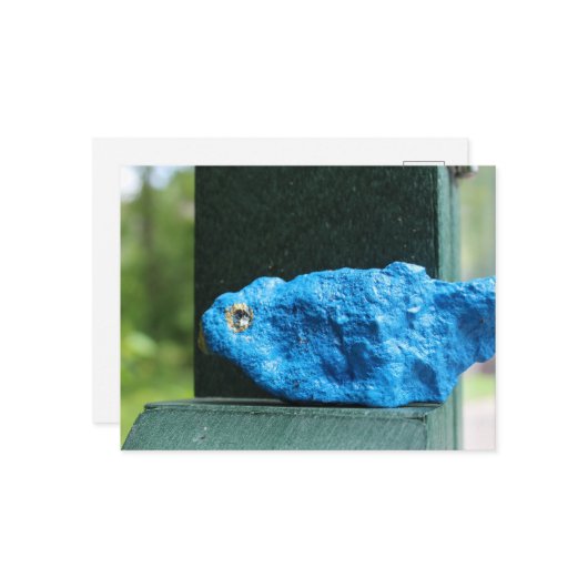 愛らしいブルーバードロック ポストカード (正面/裏面インサイチュ)