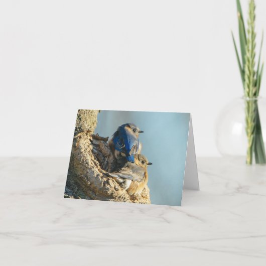 愛らしいブルーバード サンキューカード (正面)