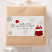 愛らしいプレセンタ、キラキラ、サンタハット ラベル (インサイチュ)