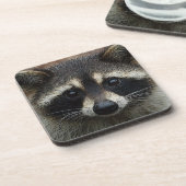 愛らしいベビーのアライグマのマスクの凝視 コースター (左側)