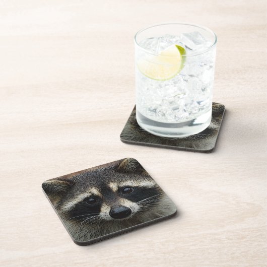 愛らしいベビーのアライグマのマスクの凝視 コースター (右側)