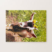 愛らしいベビーのヤギのパズル ジグソーパズル (横)