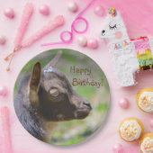 愛らしいベビーのヤギの誕生日 ペーパープレート (パーティー)