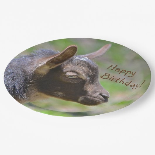 愛らしいベビーのヤギの誕生日 ペーパープレート (アングル)