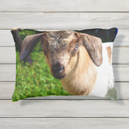 愛らしいベビーのヤギ アウトドアクッション